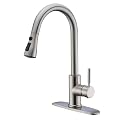 Drinking Water Faucets